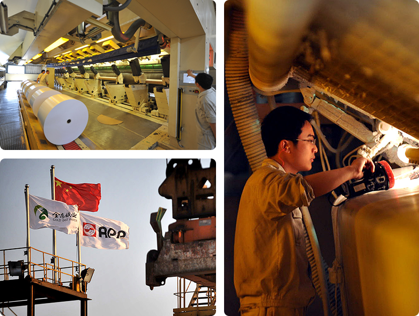 纸业品牌APP中国荣誉